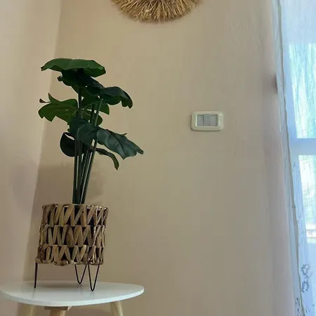 Simple * オリクム